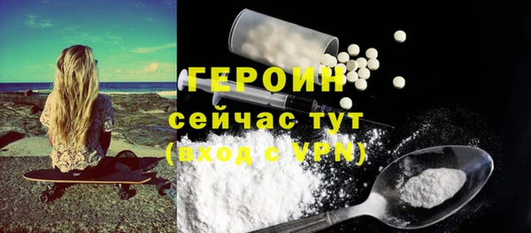 гидра Богородицк