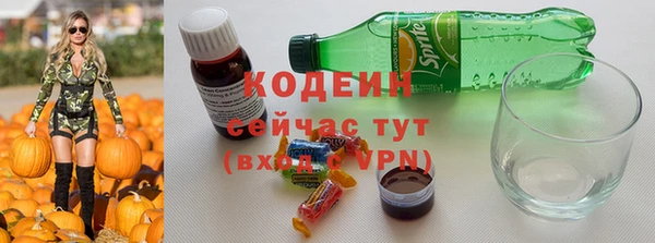 гидра Богородицк