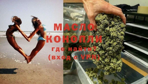 гидра Богородицк
