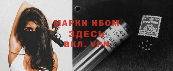 гидра Богородицк