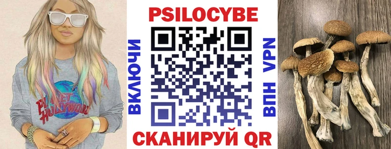 наркошоп  Сыктывкар  Псилоцибиновые грибы прущие грибы 